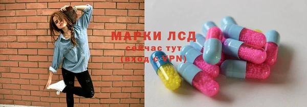 стаф Беломорск