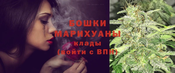 стаф Беломорск