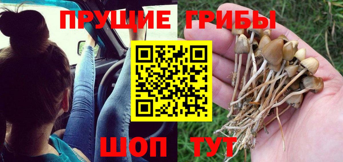 Псилоцибиновые грибы MAGIC MUSHROOMS Бузулук