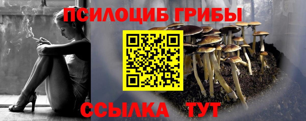 Псилоцибиновые грибы Magic Shrooms  Псилоцибиновые грибы GOLDEN TEACHER  Бузулук  Вход с VPN 