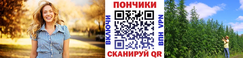 Бошки марихуана THC 21%  Бузулук 